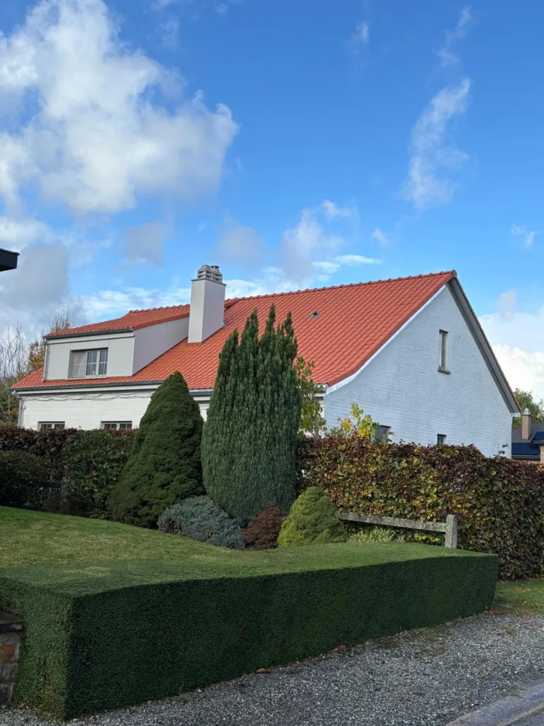 Dakproject van Brumas